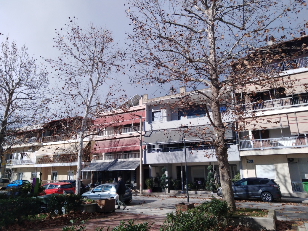 photo1