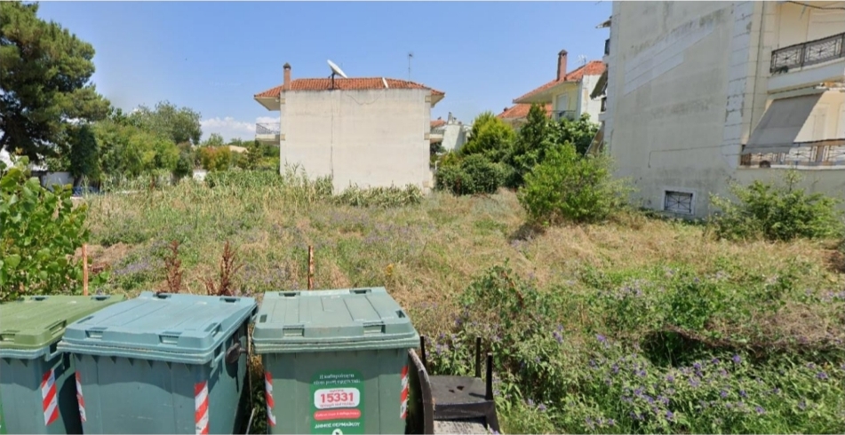 photo1