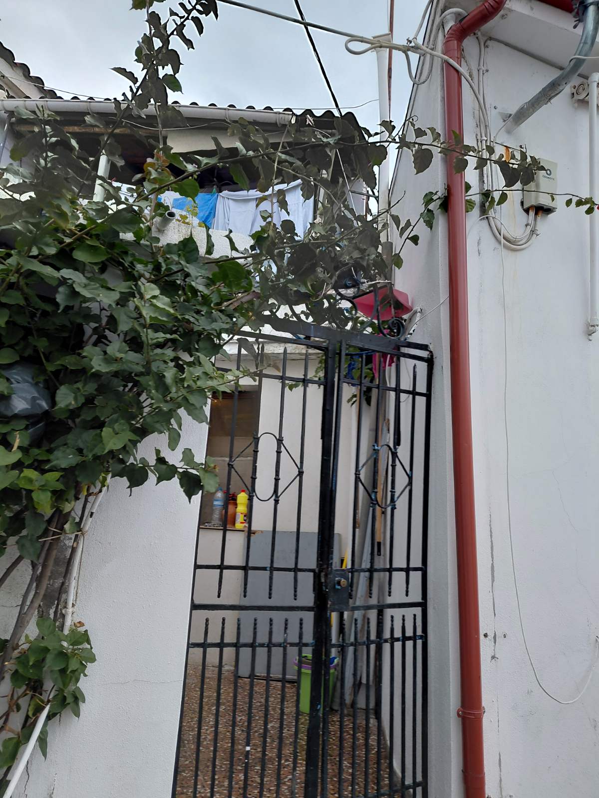 Οικόπεδο με κτίσμα  σε πλειστηριασμό Δήμος Σκιάθου