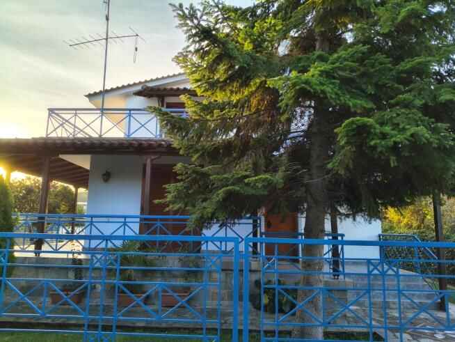 photo6