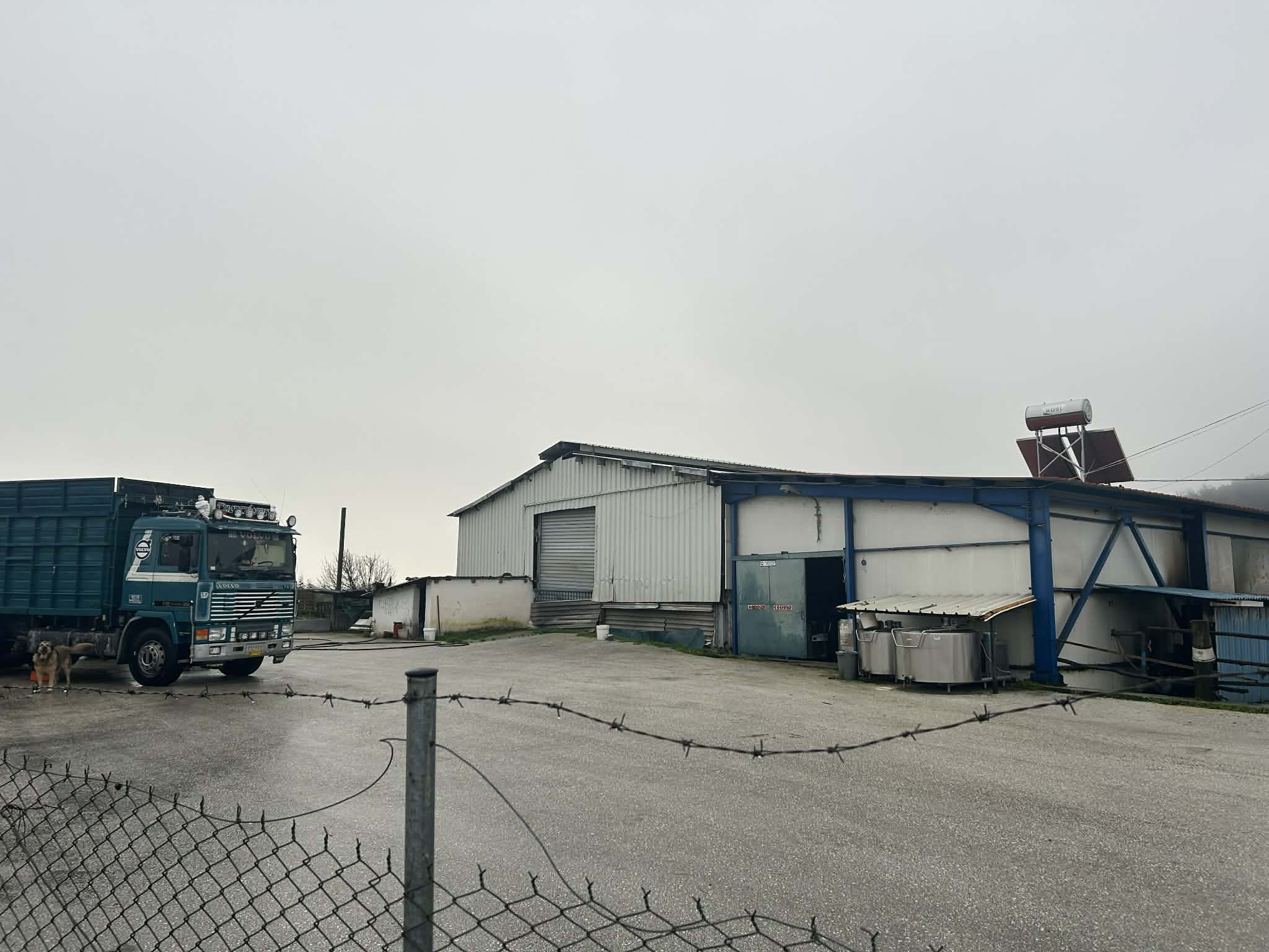 photo1