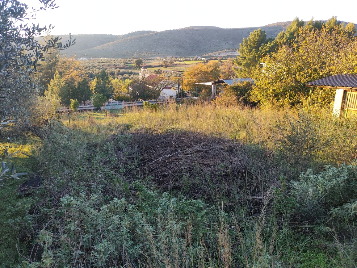 photo1