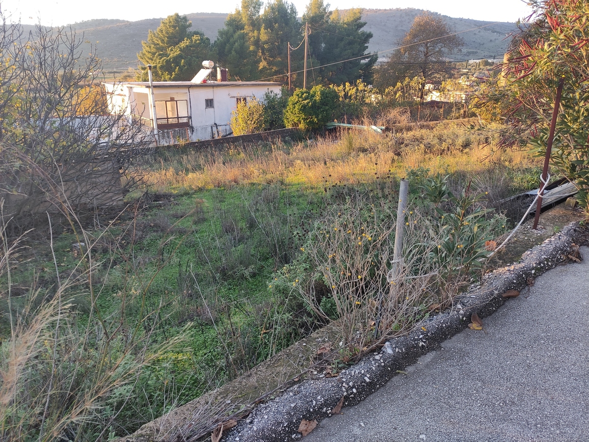 Οικόπεδο 574 sq.m. σε πλειστηριασμό Municipality of Artaia