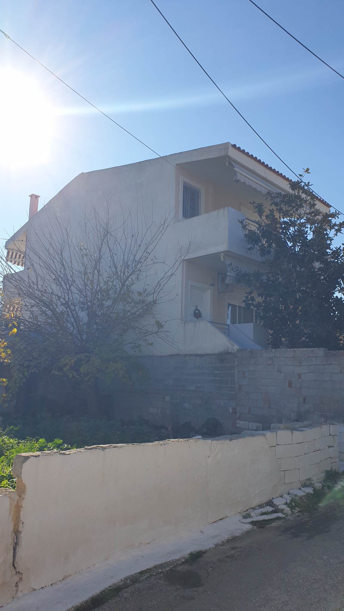 photo1