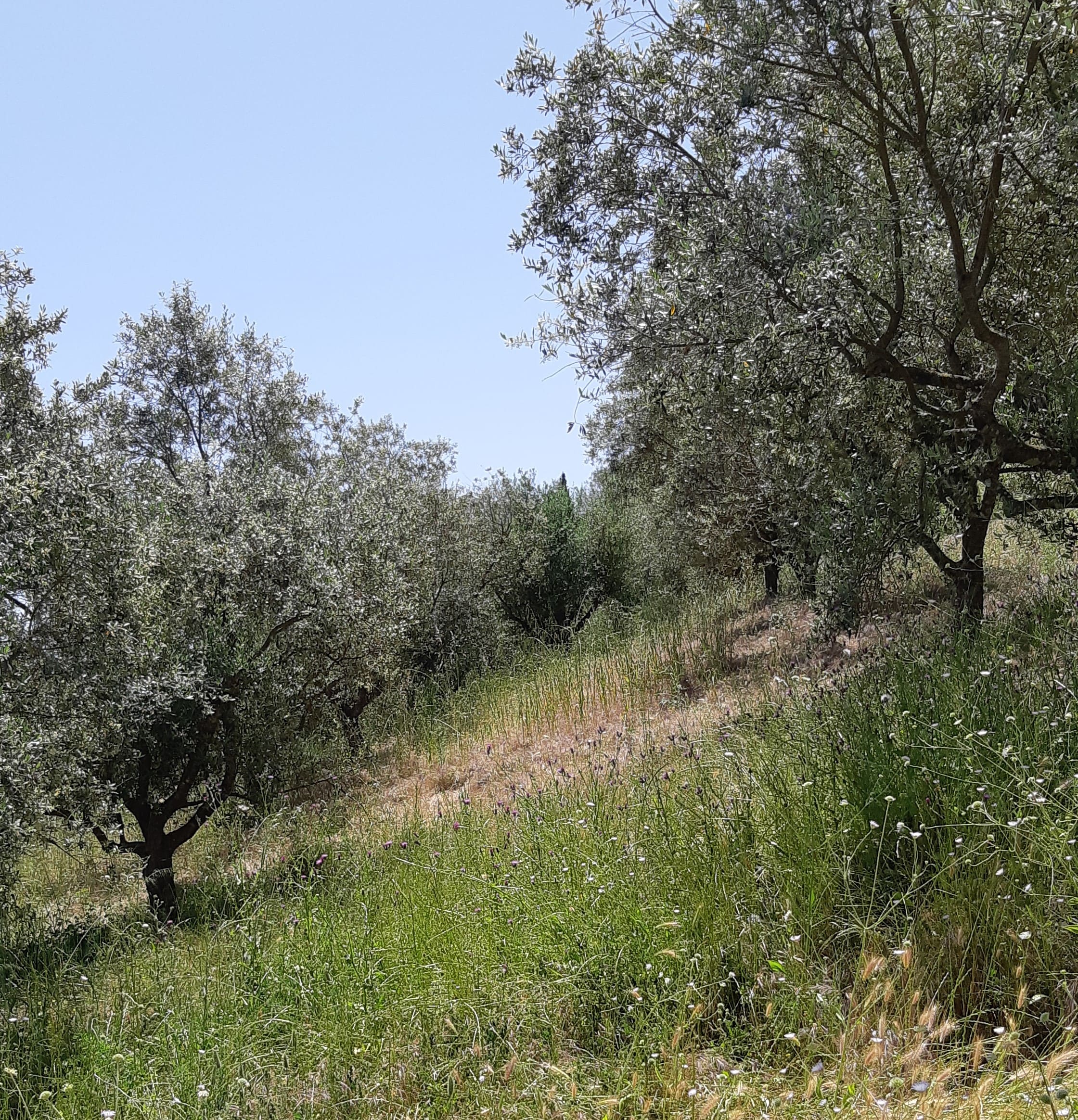 photo0