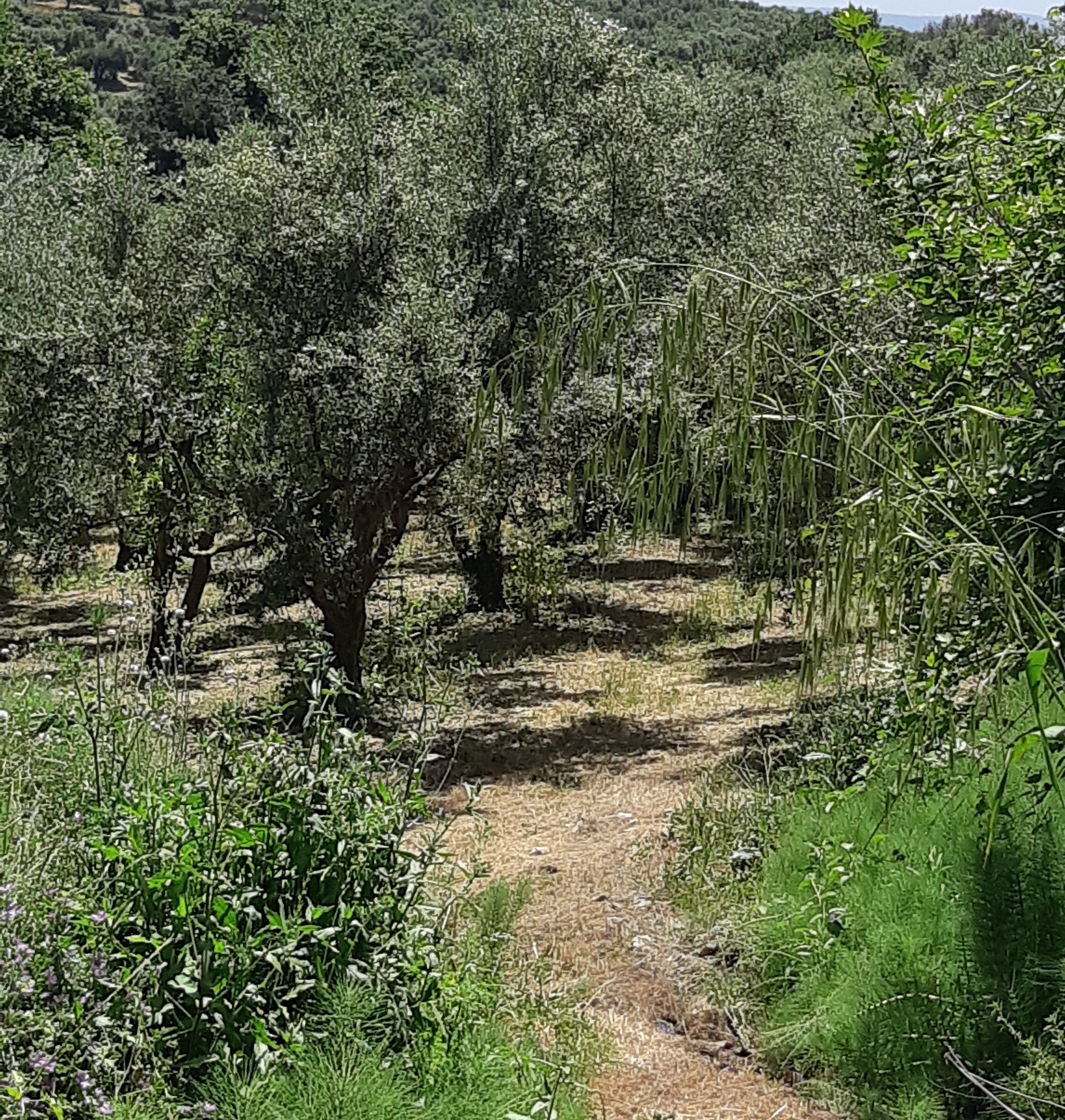 photo0