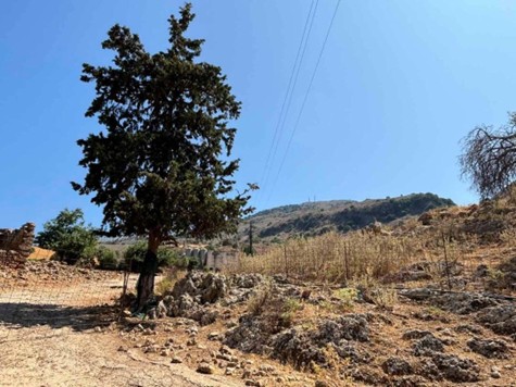 Αγροτεμάχιο  σε πλειστηριασμό Municipality of Apokorono 