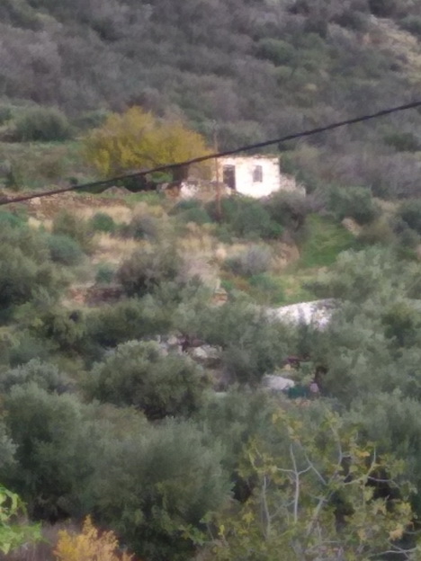 Αγροτεμάχιο με κτίσμα 3128.04 τ.μ. σε πλειστηριασμό Δήμος Ανατολικής Μάνης