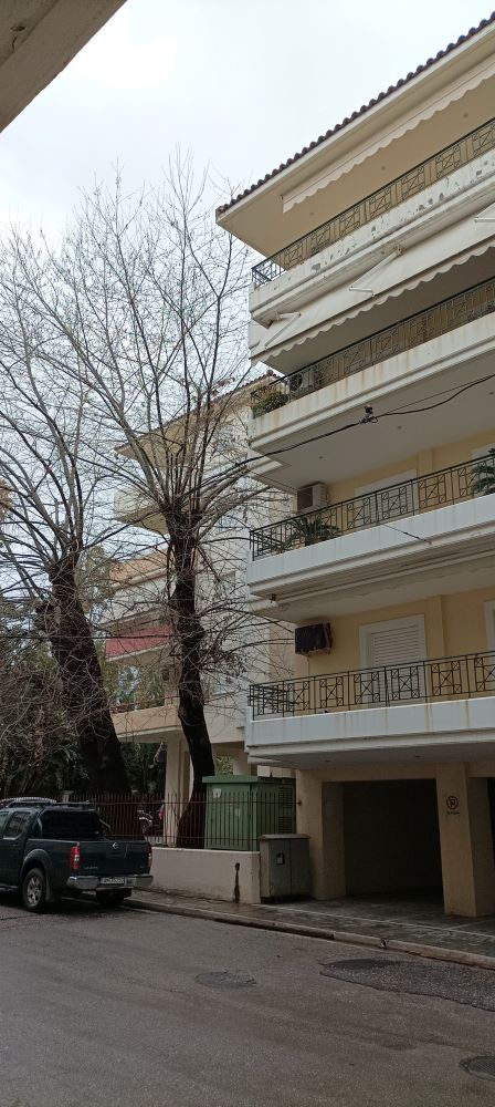 photo4