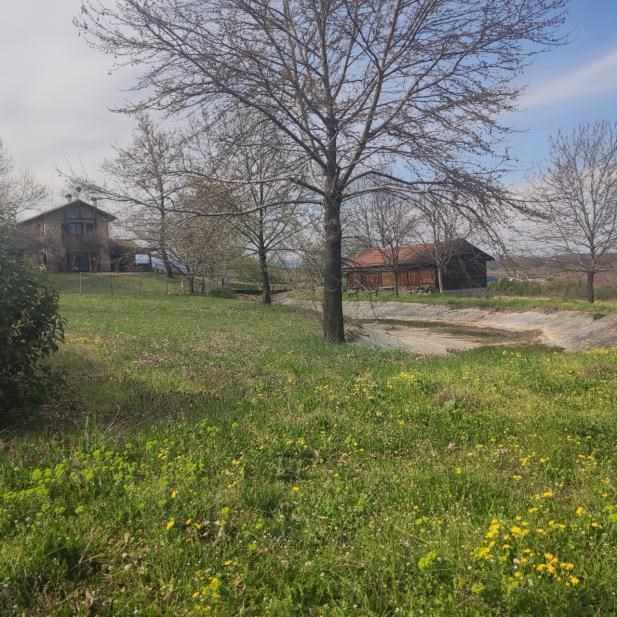 Αγροτεμάχιο με κτίσμα  σε πλειστηριασμό Δήμος Ηρωικής Πόλεως Νάουσας