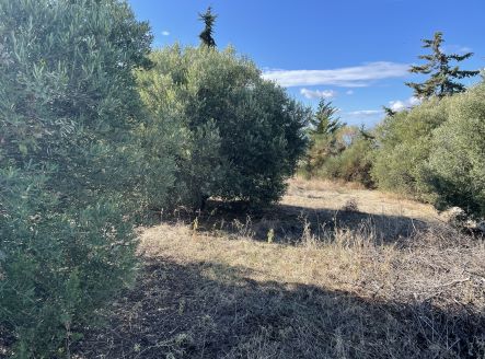 Οικόπεδο 507.79 τ.μ. σε πλειστηριασμό Δήμος Νέας Προποντίδας