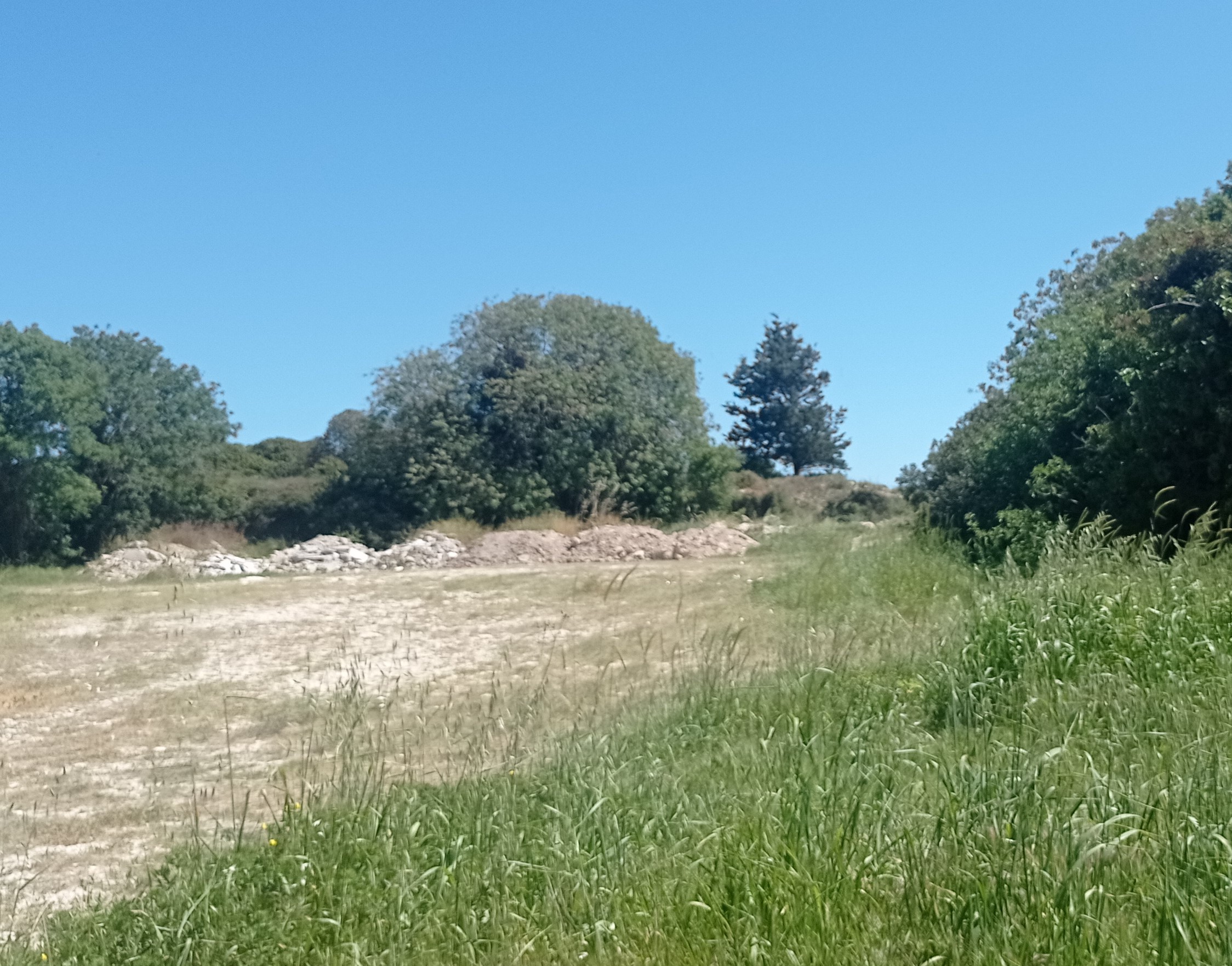 Οικόπεδο 2806.93 τ.μ. σε πλειστηριασμό Δήμος Χίου