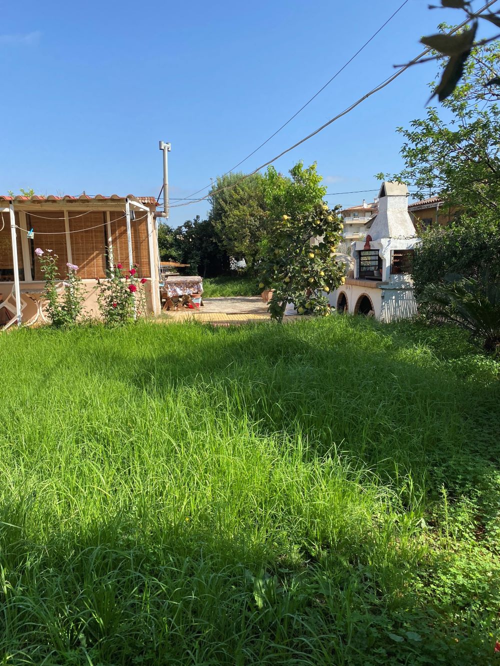 photo1