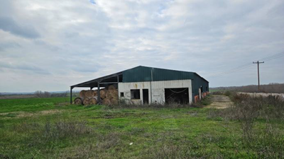 photo0