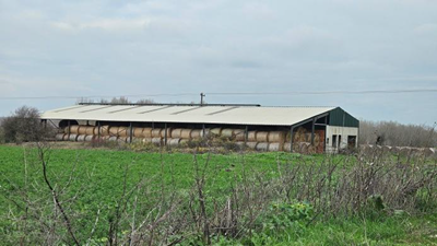 photo1