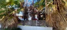 photo0