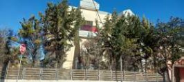 photo2