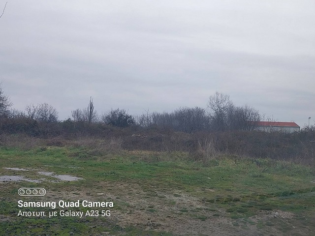 photo0