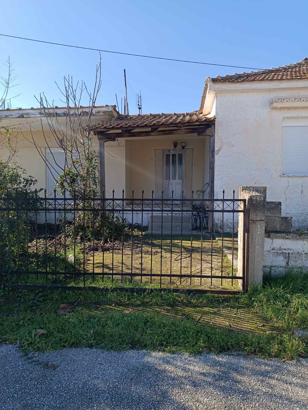 photo5