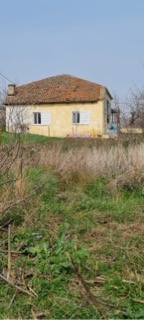 photo0