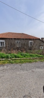 photo1