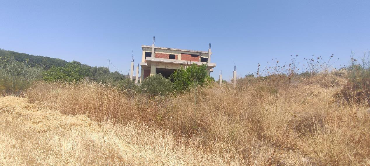 Αγροτεμάχιο με κτίσμα 4000 τ.μ. σε πλειστηριασμό Δήμος Αλεξανδρούπολης