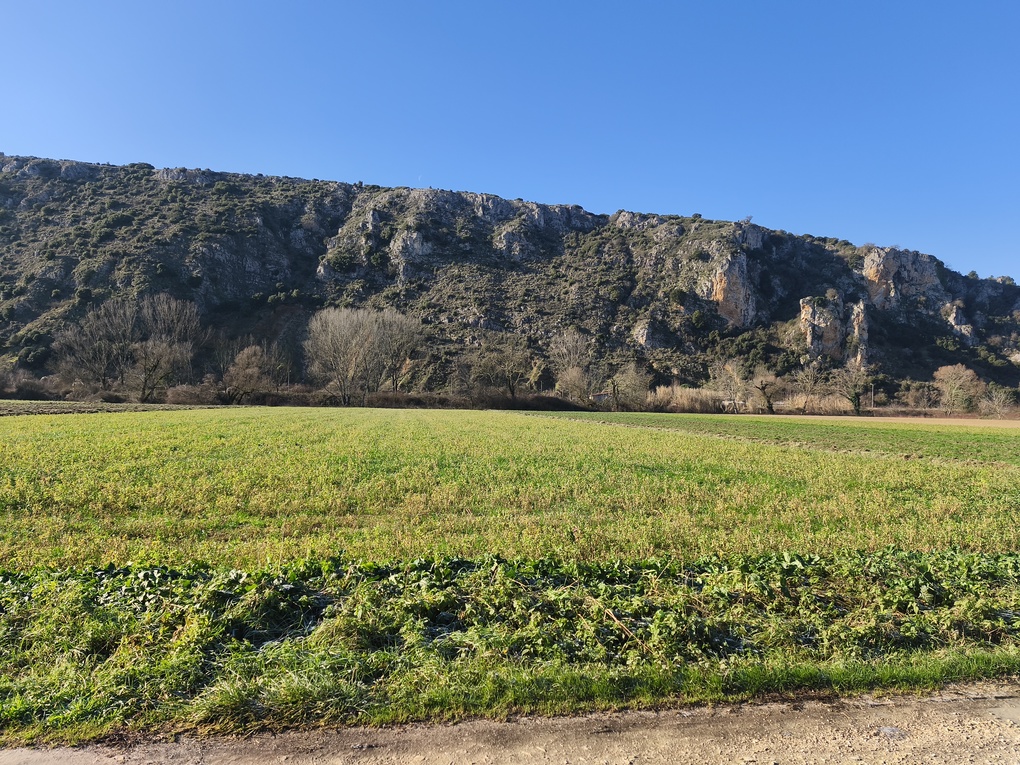 photo0
