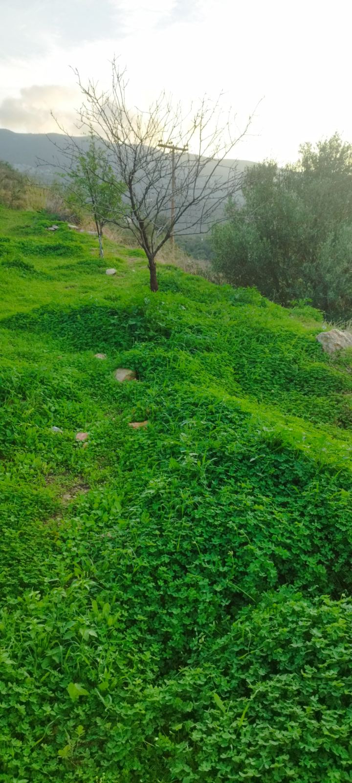 photo7