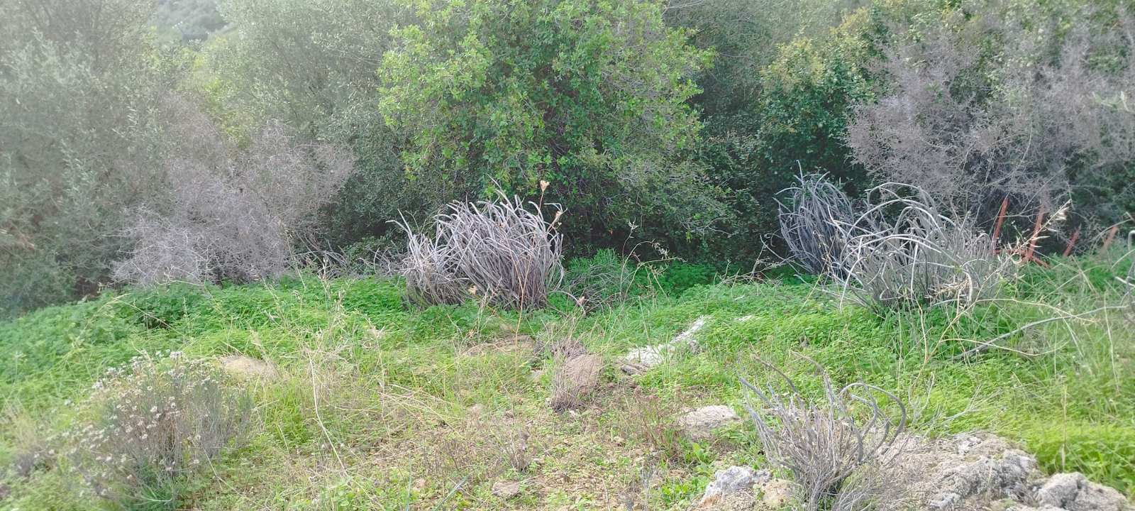 Κατοικία 60.65 τ.μ. σε πλειστηριασμό Δήμος Τροιζηνίας - Μεθάνων