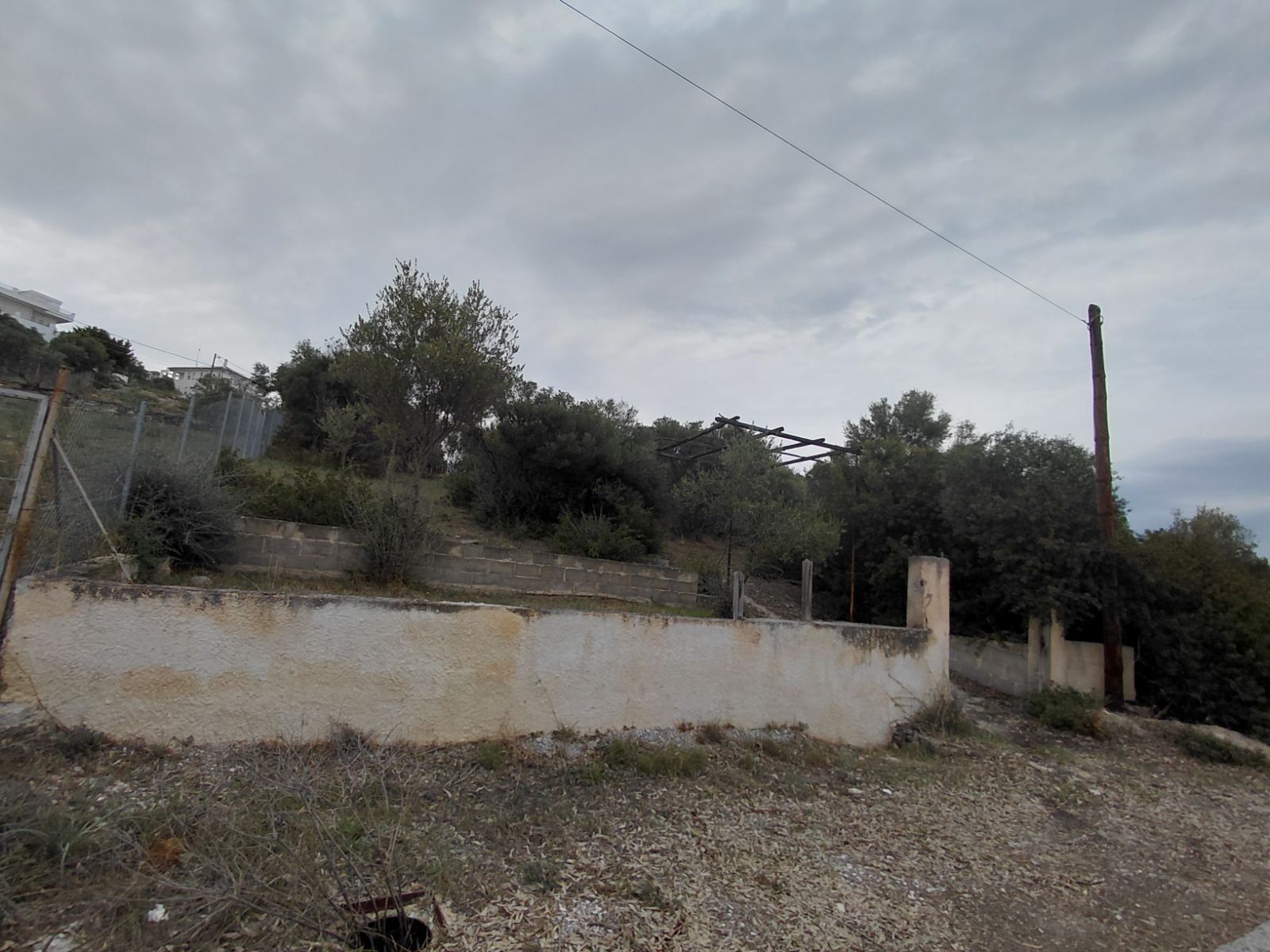 photo0