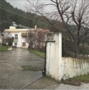 photo1