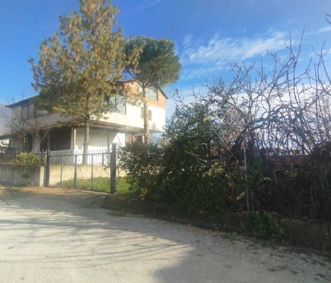 photo5