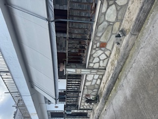 photo3