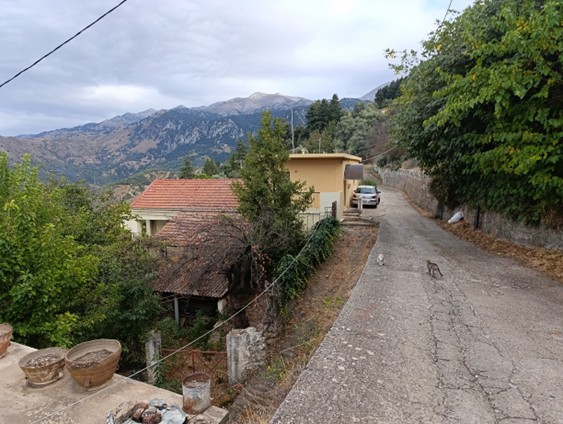 photo1