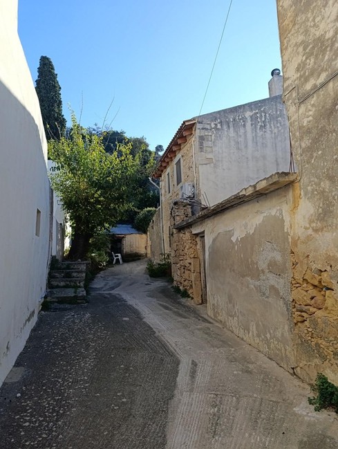 photo1