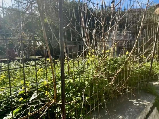 Οικόπεδο με κτίσμα 318.46 τ.μ. σε πλειστηριασμό Δήμος Ρεθύμνης