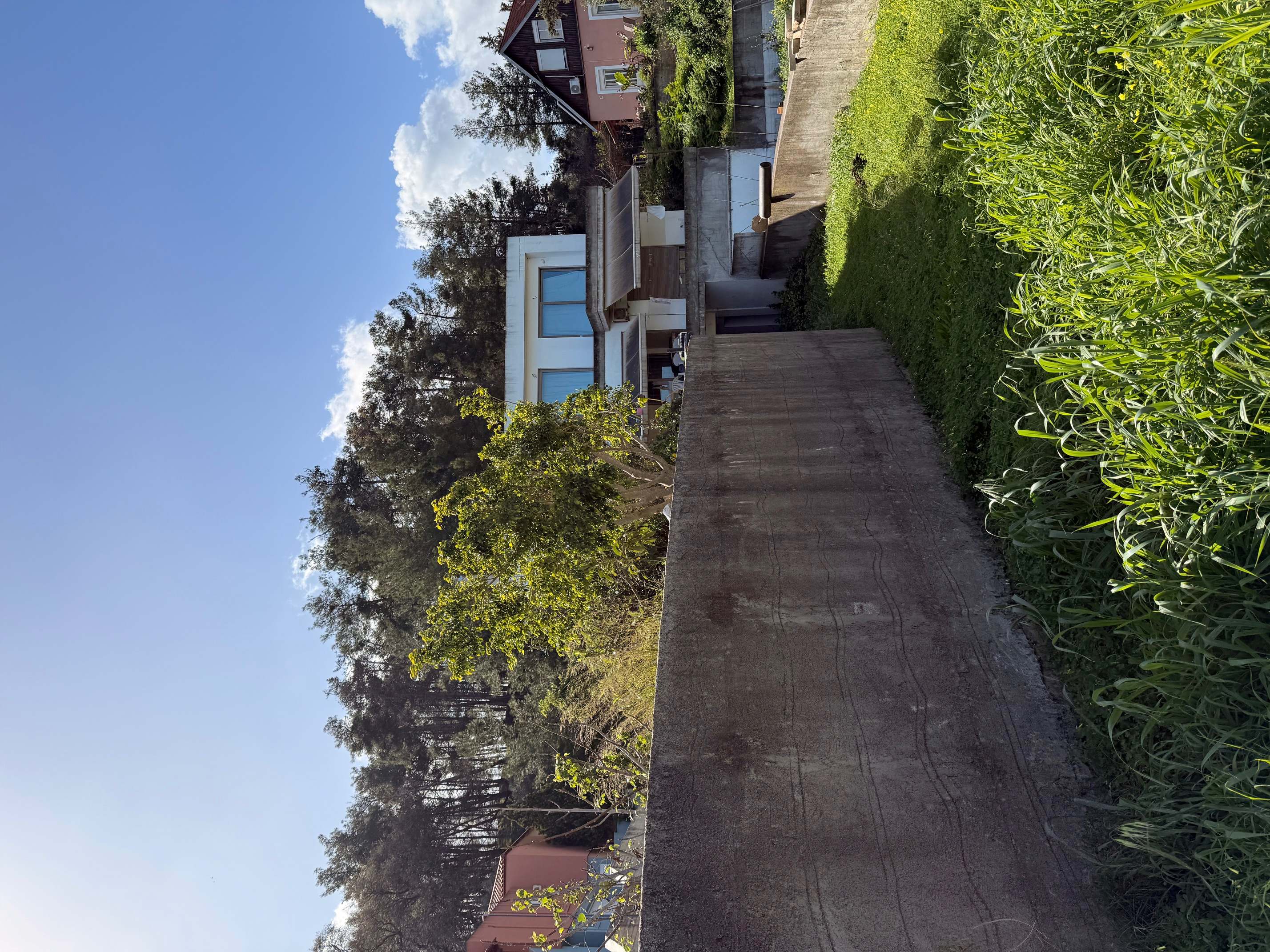 photo0