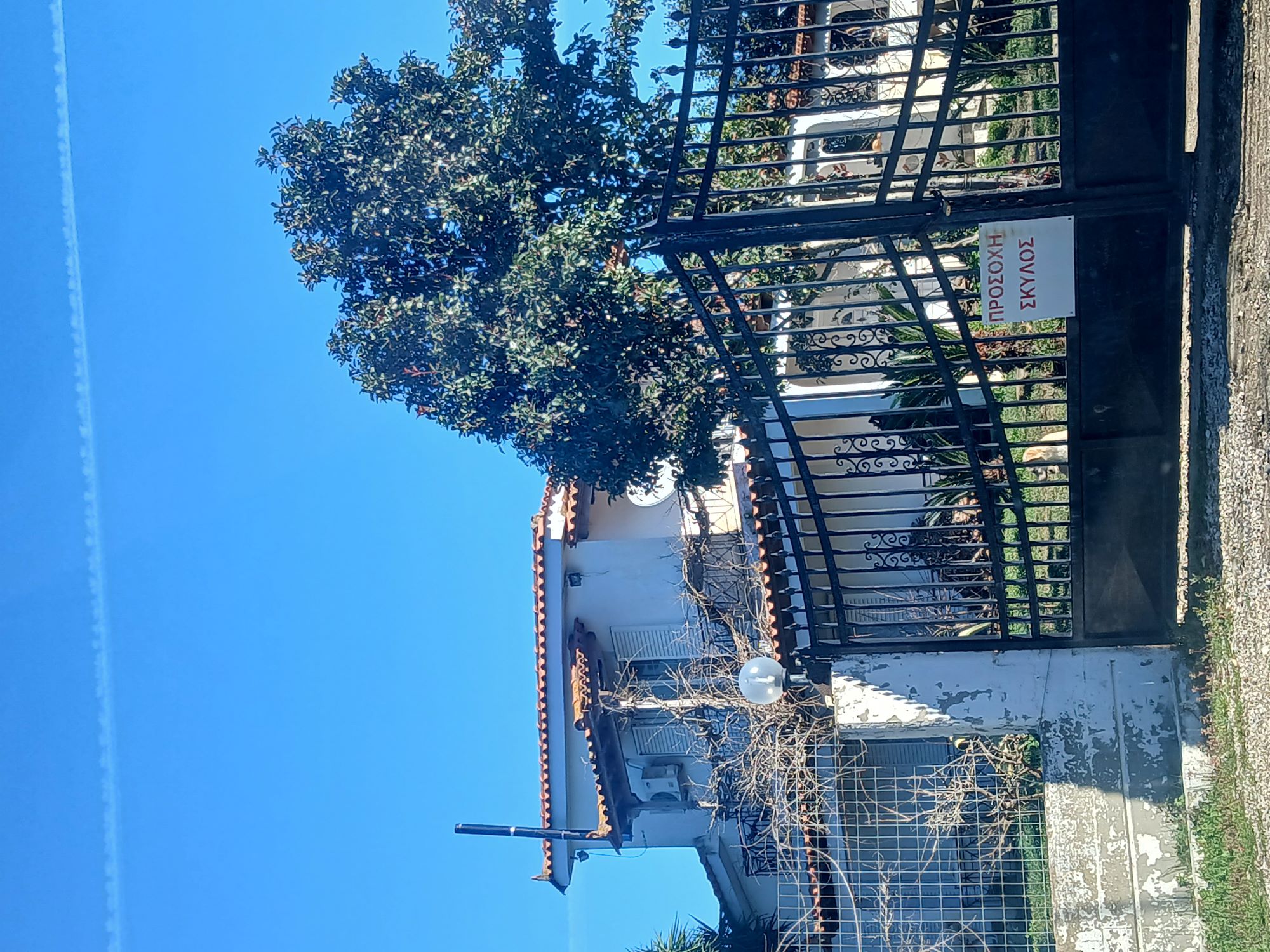 photo0