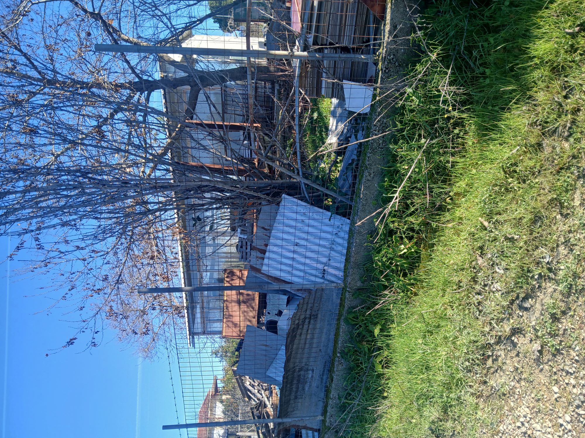 photo1