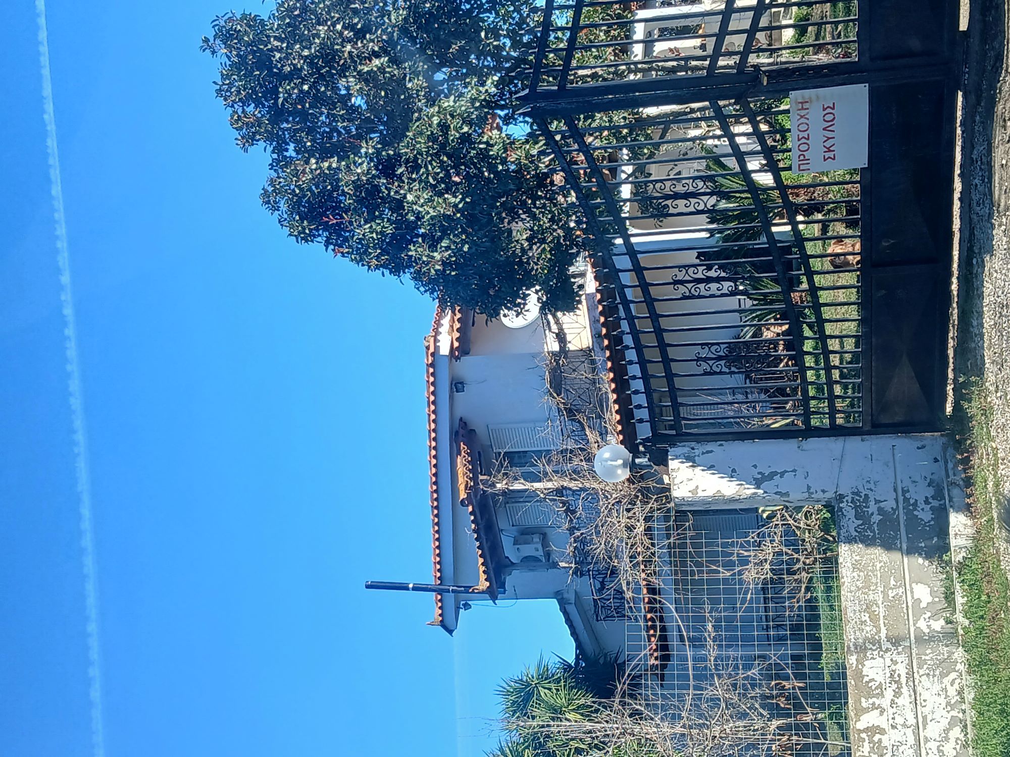 photo2