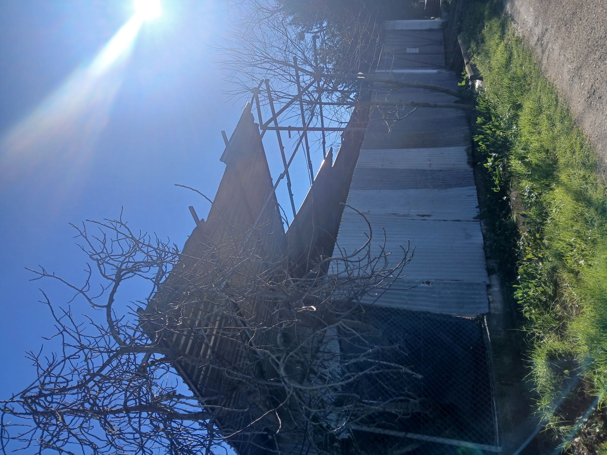 photo3