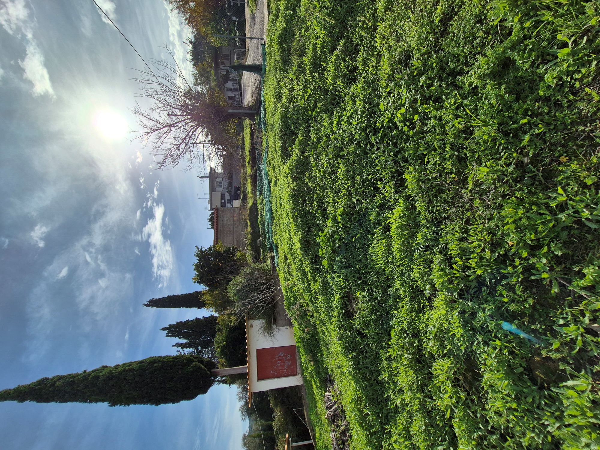 photo0