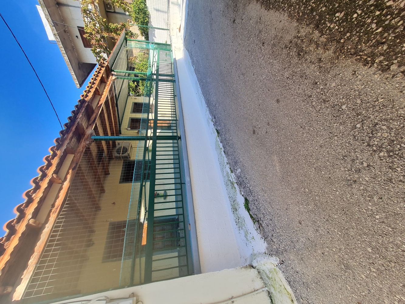 photo1