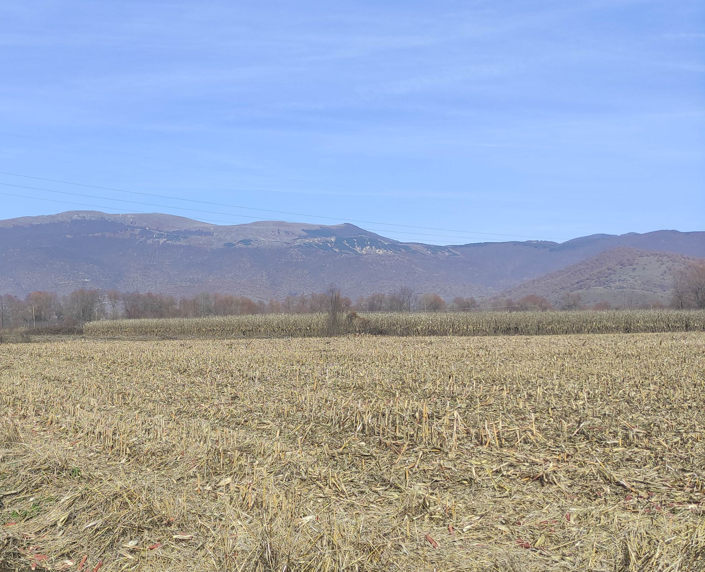 photo0