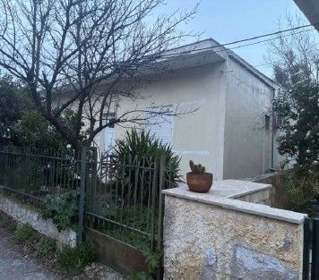 photo1
