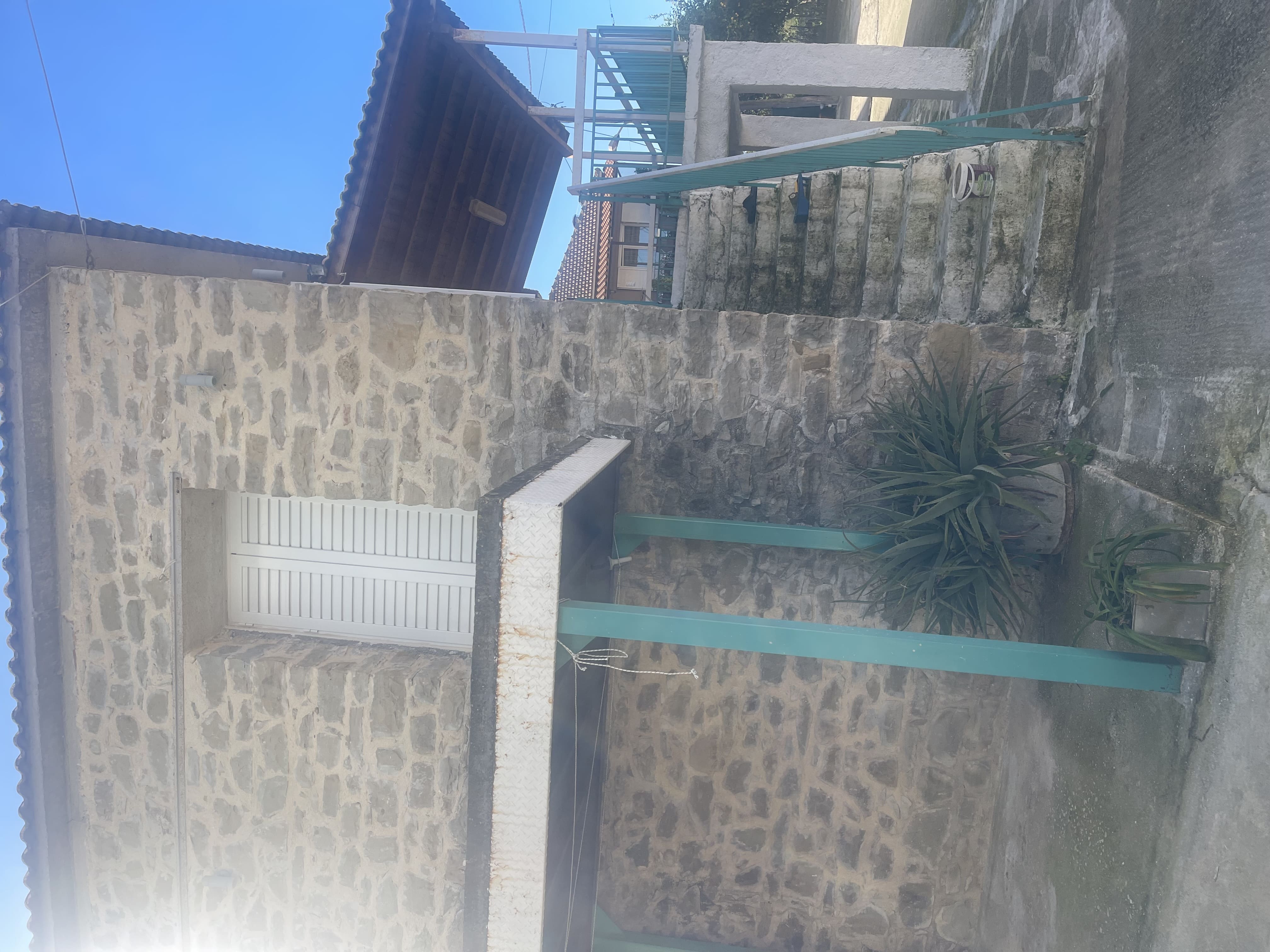 photo2