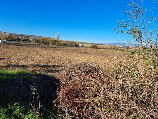 Αγροτεμάχιο 10444 τ.μ. σε πλειστηριασμό Δήμος Εορδαίας