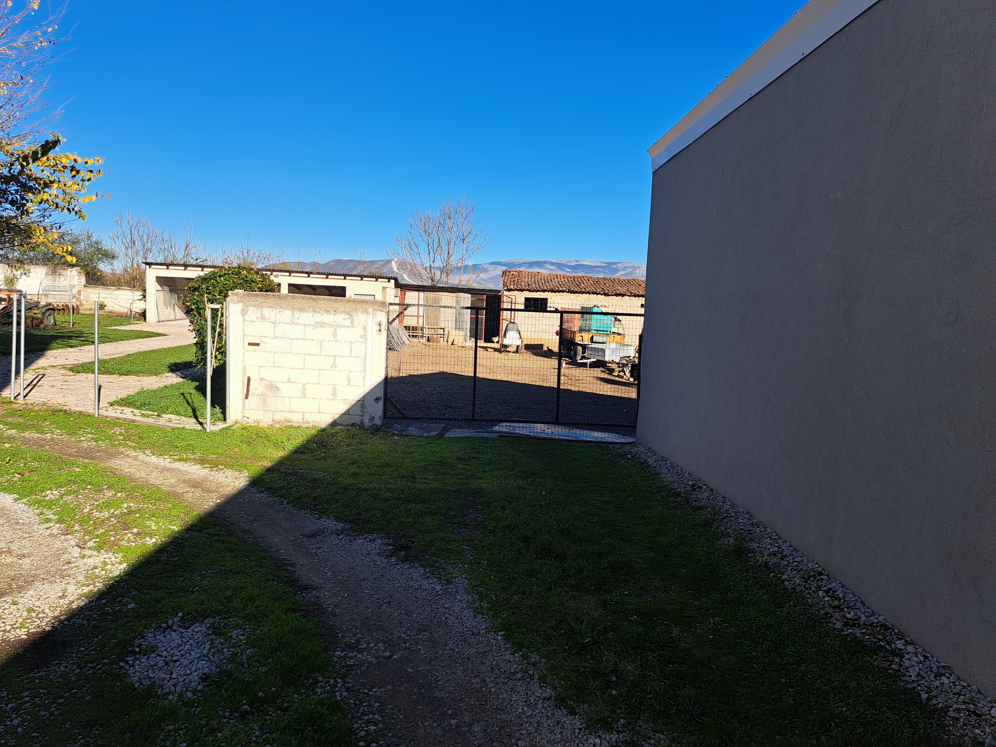 photo1
