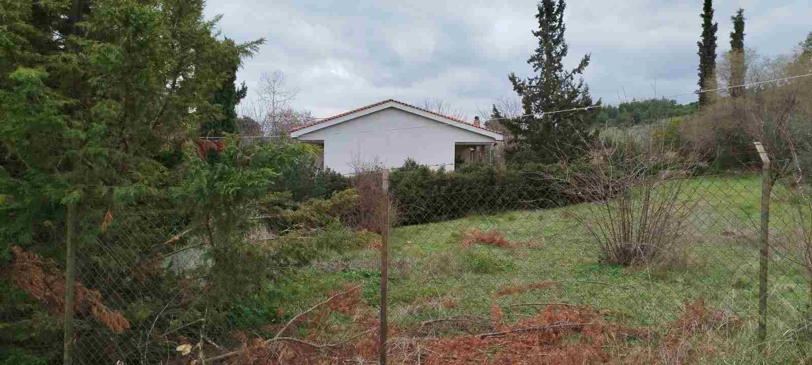 photo1