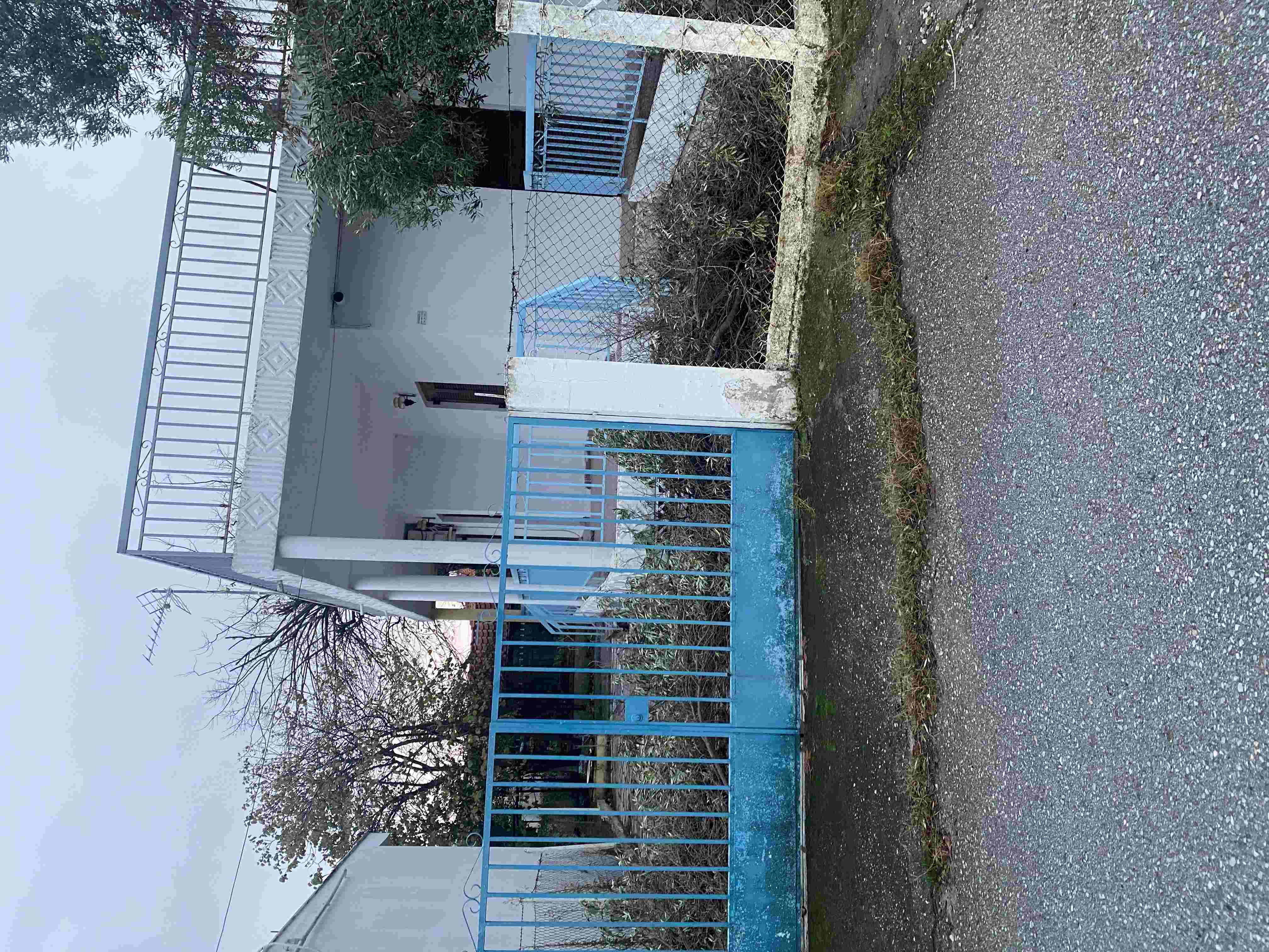 photo1